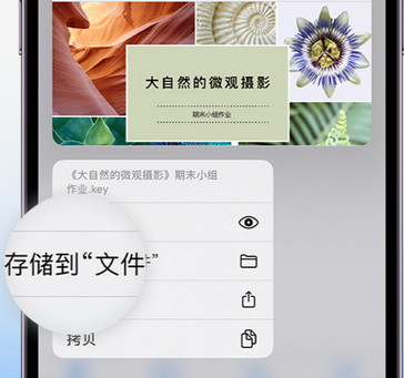 邹平apple维修中心分享iPhone文件应用中存储和找到下载文件