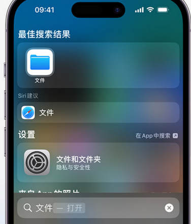 邹平apple维修中心分享iPhone文件应用中存储和找到下载文件