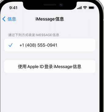 邹平apple维修iPhone上无法正常发送iMessage信息 