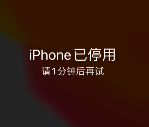 邹平苹果手机维修分享:iPhone 显示“不可用”或“已停用”怎么办？还能保留数据吗？ 