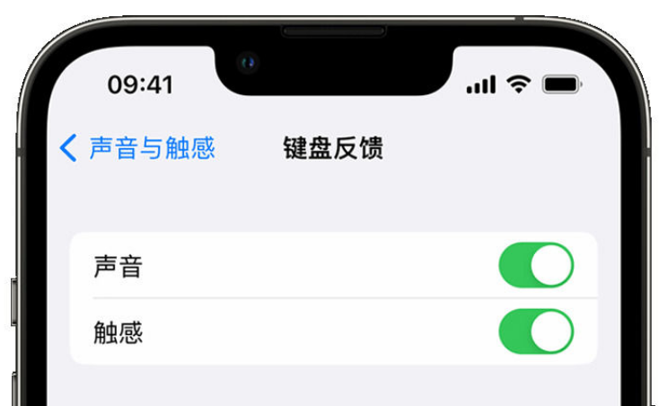 邹平苹果手机维修分享iPhone 14触感键盘使用方法 