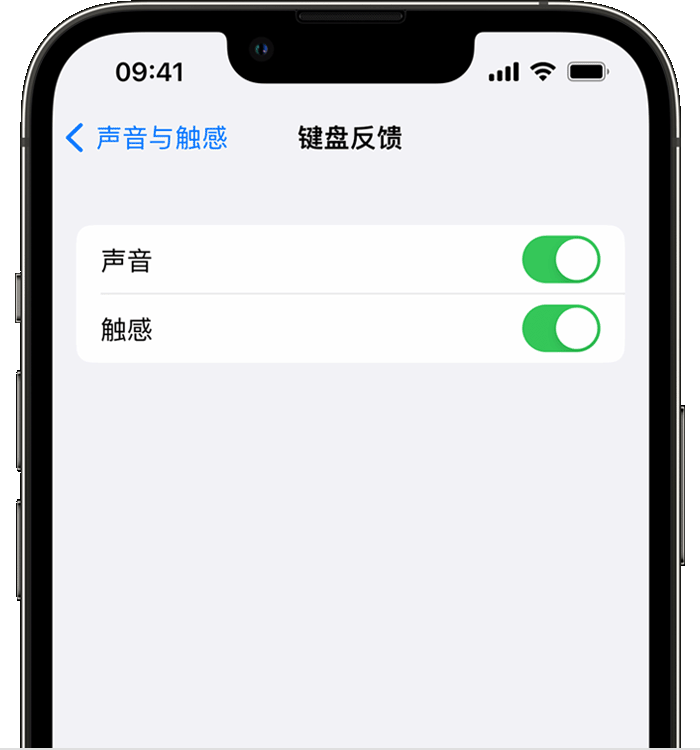 邹平苹果14维修店分享如何在 iPhone 14 机型中使用触感键盘 