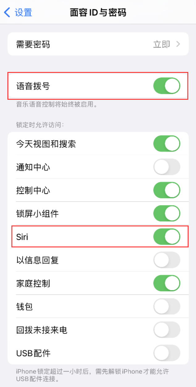 邹平苹果维修网点分享不解锁 iPhone 的情况下通过 Siri 拨打电话的方法 