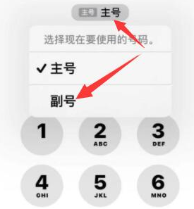 邹平苹果14维修店分享iPhone 14 Pro Max使用副卡打电话的方法 