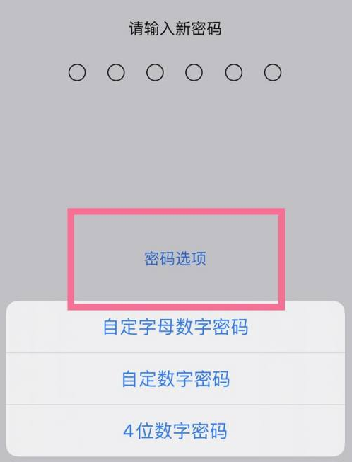 邹平苹果14维修分享iPhone 14plus设置密码的方法 