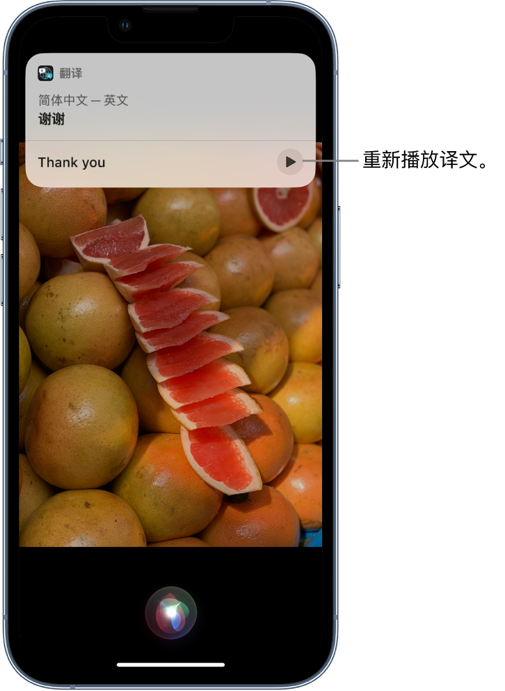 邹平苹果14维修分享 iPhone 14 机型中使用 Siri：了解 Siri 能帮你做什么 