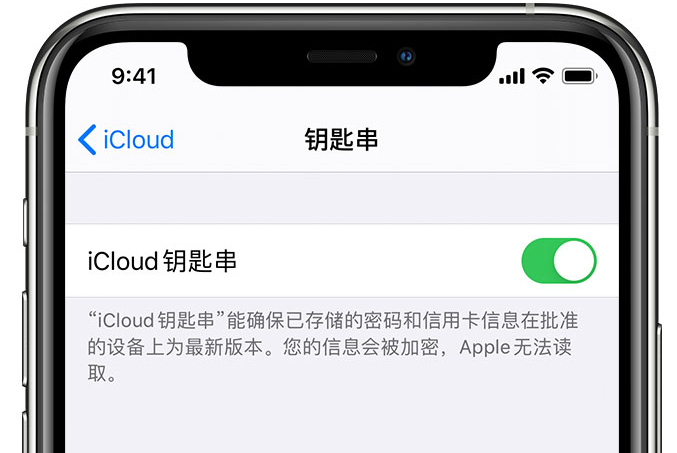 邹平苹果手机维修分享在 iPhone 上开启 iCloud 钥匙串之后会储存哪些信息 