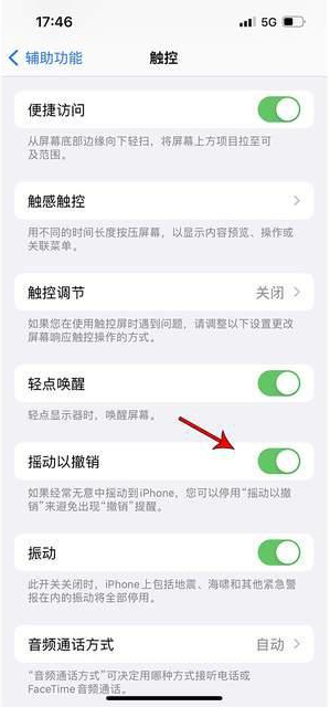 邹平苹果手机维修分享iPhone手机如何设置摇一摇删除文字 