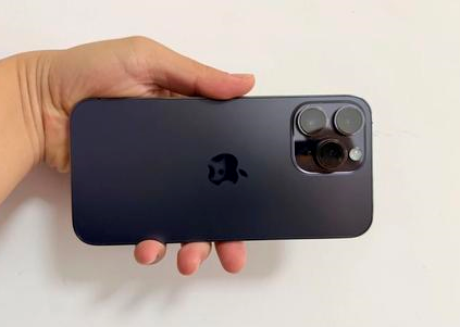 邹平苹果维修点分享iPhone 14 Pro Max黑屏少见故障盘点 